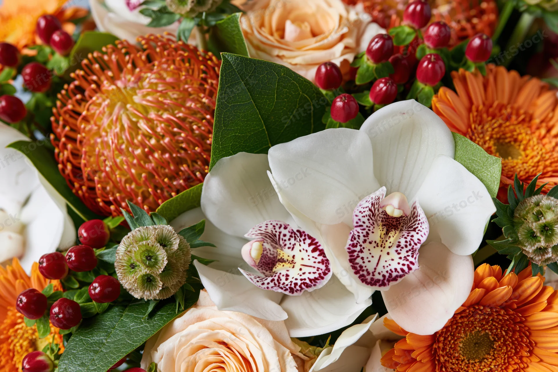 Close-up overhead view of a lush mixed flower arrangement with white orchids, orange gerberas, roses, pincushion proteas, red berries and green foliage