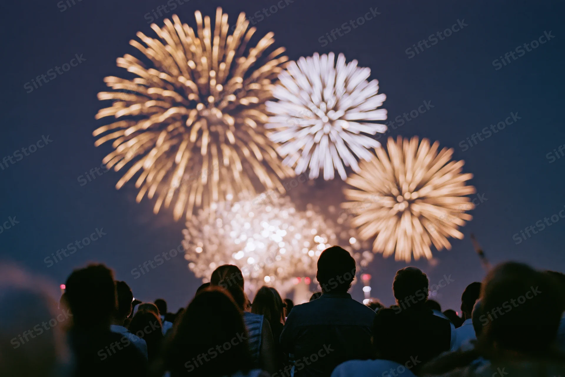 Crowd of people silhouetted from behind watching fireworks in the night sky
