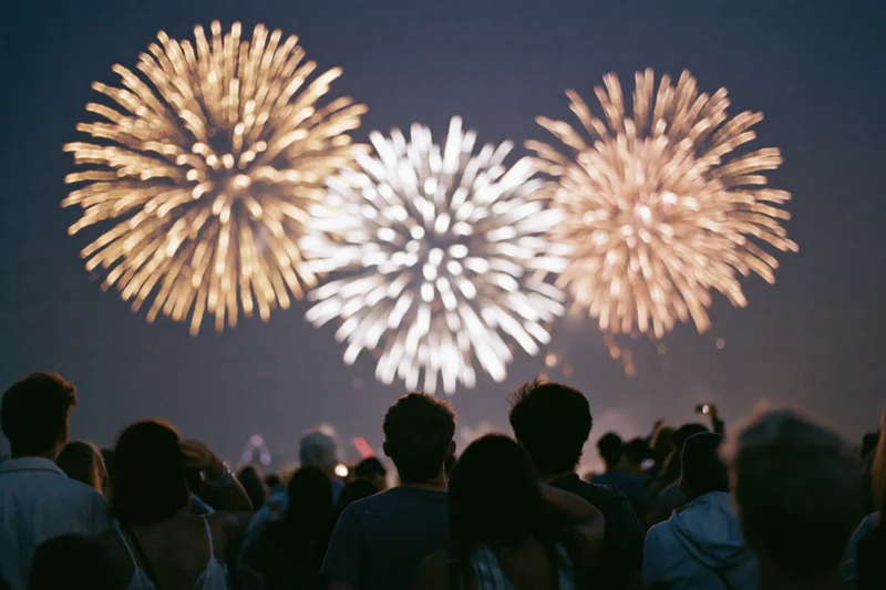 Crowd of people silhouetted from behind watching fireworks in the night sky