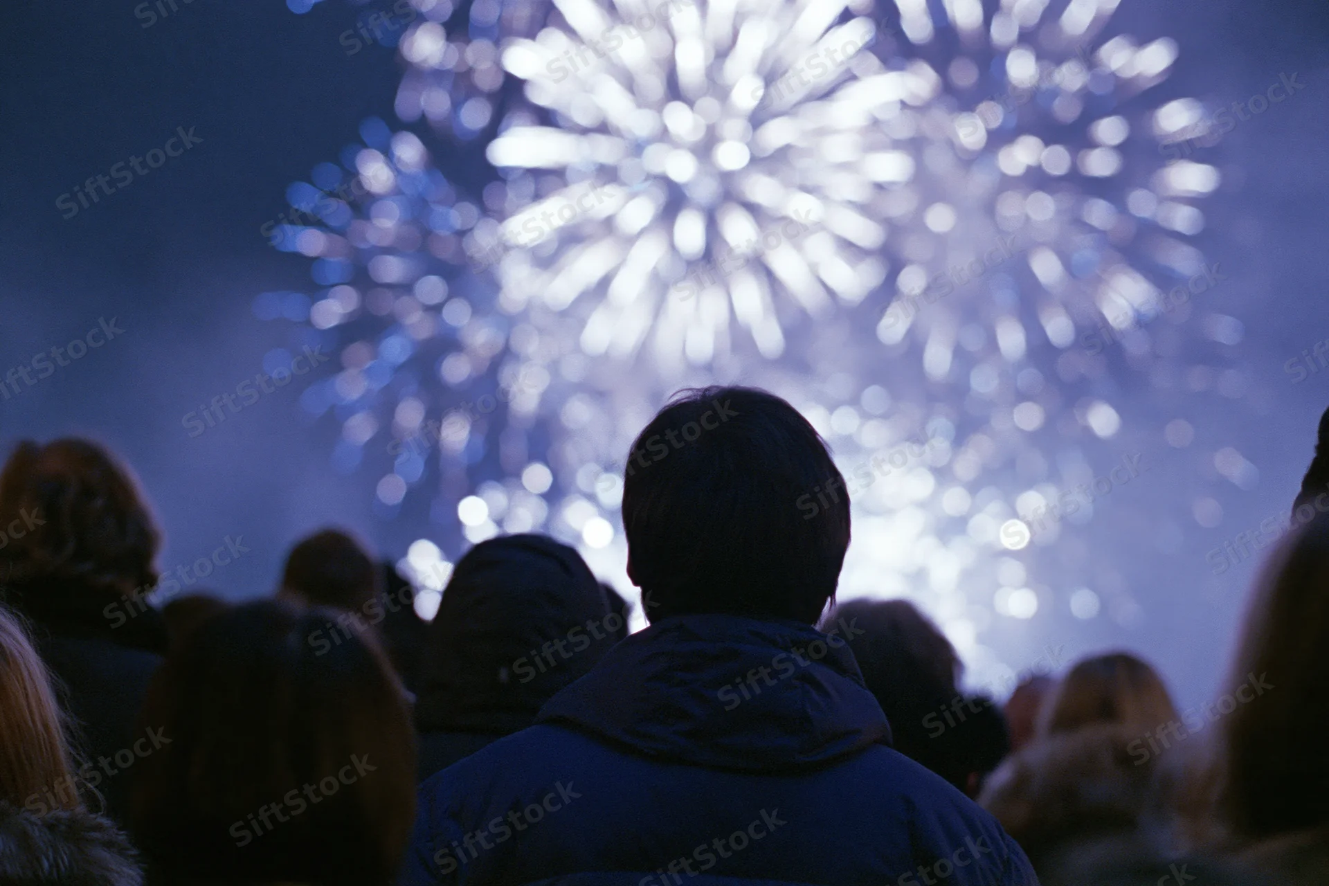 Crowd of people silhouetted from behind watching fireworks in the night sky