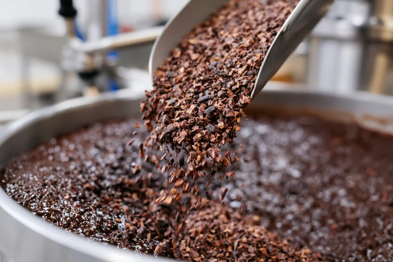 Crushed cacao nibs pouring from a metal scoop into a large industrial vat during chocolate production