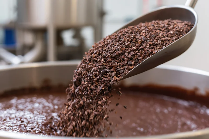 Crushed cacao nibs pouring from a metal scoop into a large industrial mixing vat