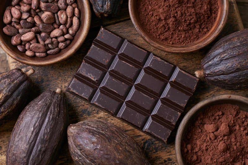 Dark chocolate bar with segmented squares arranged on wooden table surrounded by cocoa beans, powder, and pods
