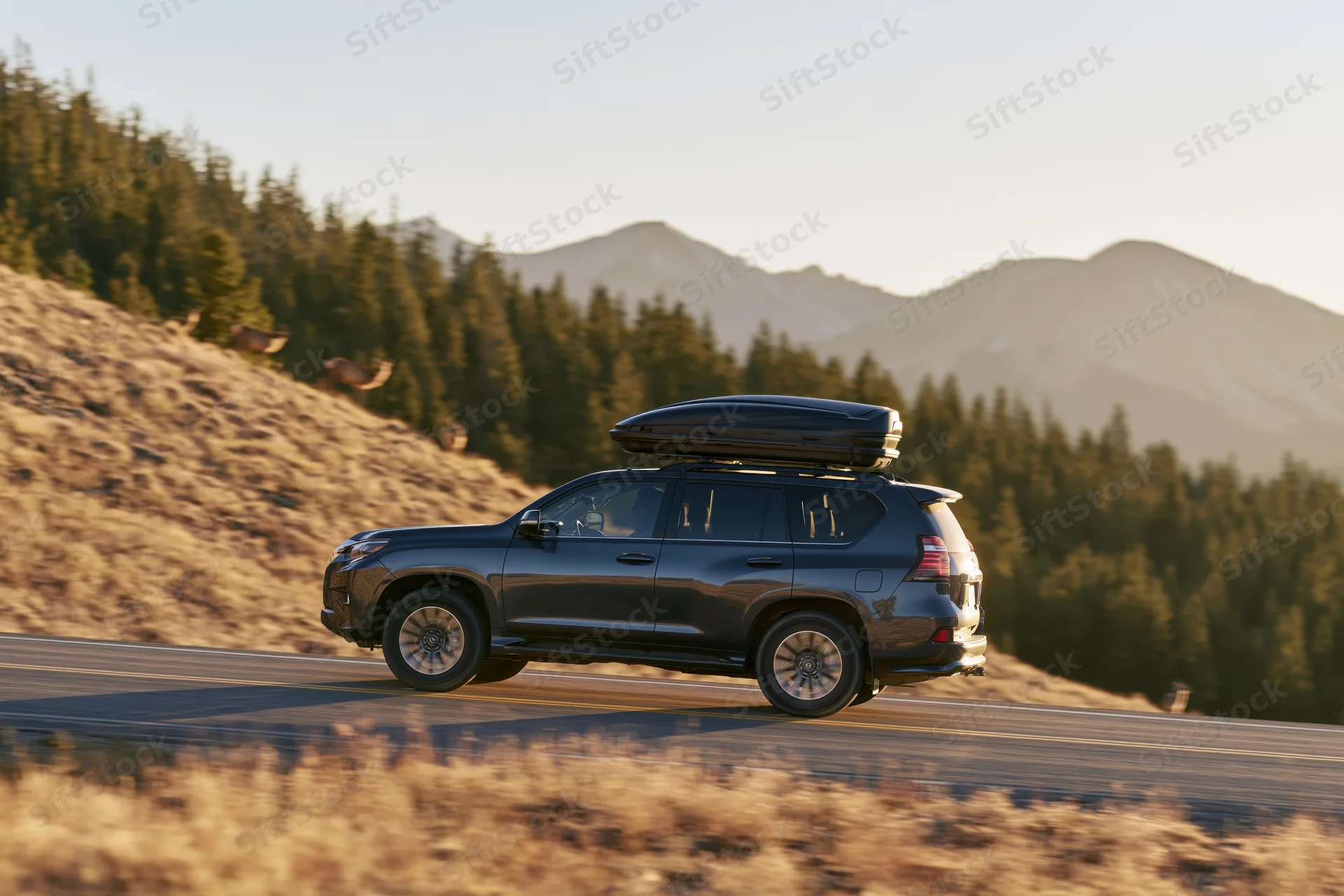Dark grey luxury suv with black rooftop cargo box driving on winding mountain road surrounded by pine forest and hills at golden hour