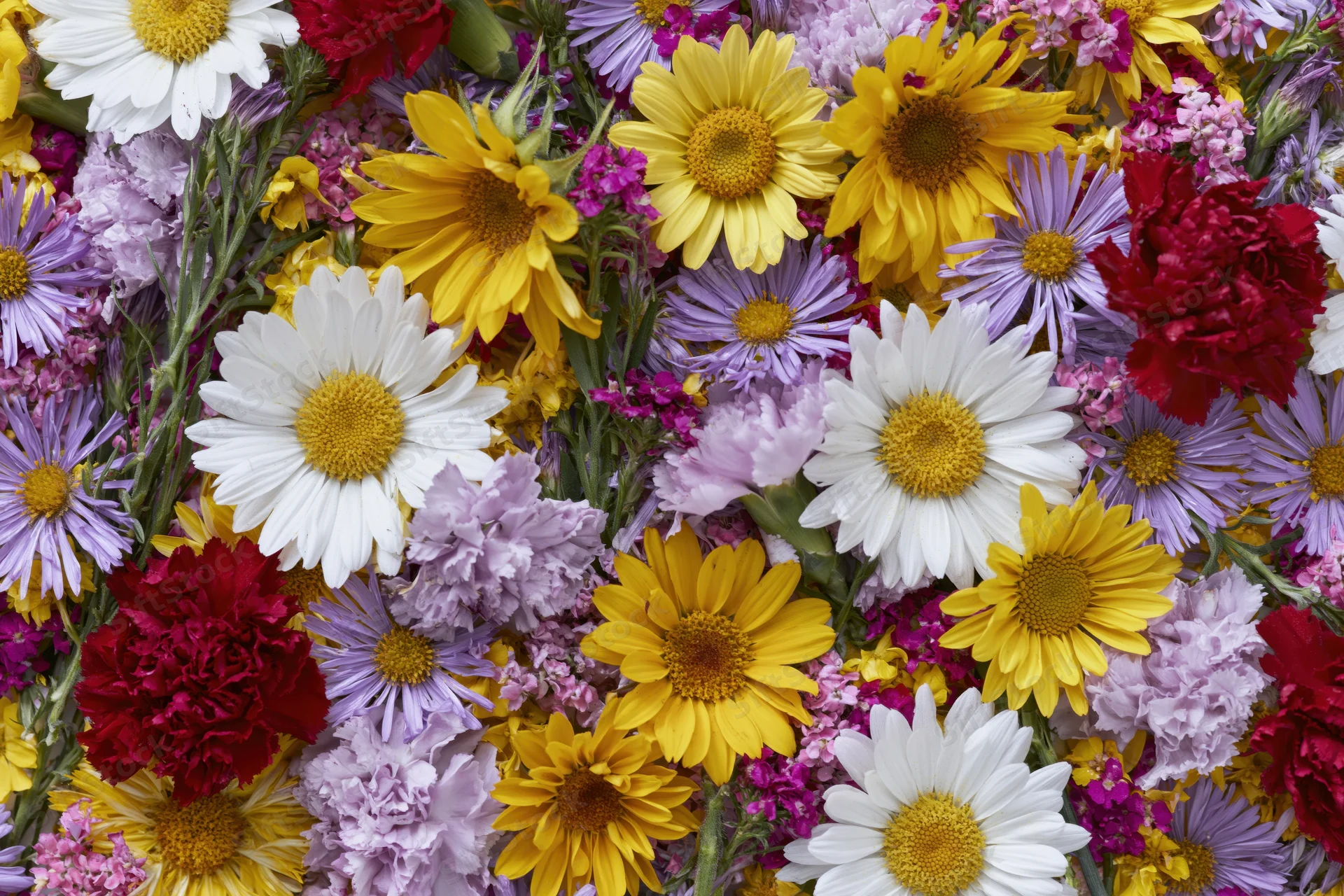 Dense flat lay of mixed summer wildflowers including white daisies, yellow and purple blooms, arranged in a colorful floral bouquet