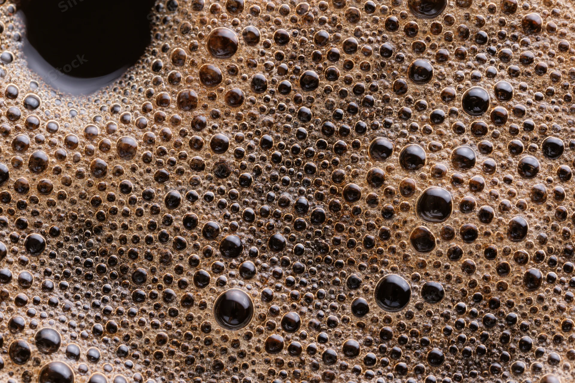Close-up of black coffee surface covered in fine foam bubbles