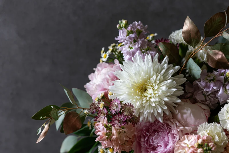 Floral bouquet with white dahlia, pink peonies and eucalyptus leaves arranged against dark grey textured background
