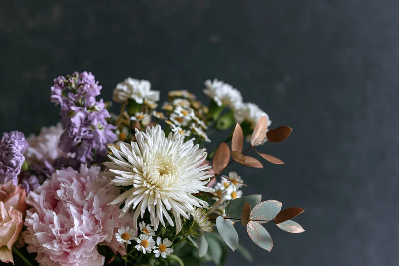 Floral bouquet with white chrysanthemums, pink peonies, purple statice, and eucalyptus foliage against dark grey textured background