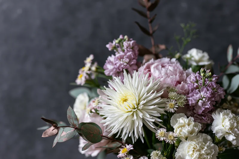 Floral bouquet with white chrysanthemums, pink peonies, and eucalyptus against dark grey textured background