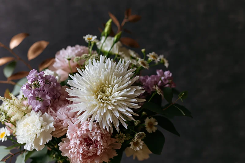 Floral bouquet with white dahlia, pink carnations and purple flowers arranged against dark textured background