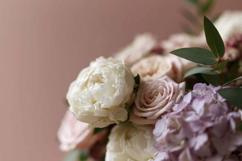 Floral arrangement of white peonies, blush roses, and lavender hydrangeas with green foliage on a soft pink background