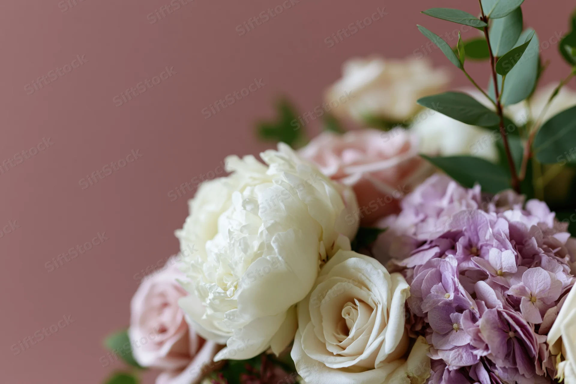 Floral arrangement of white peonies, blush roses, and lavender hydrangeas with eucalyptus leaves on a muted pink background