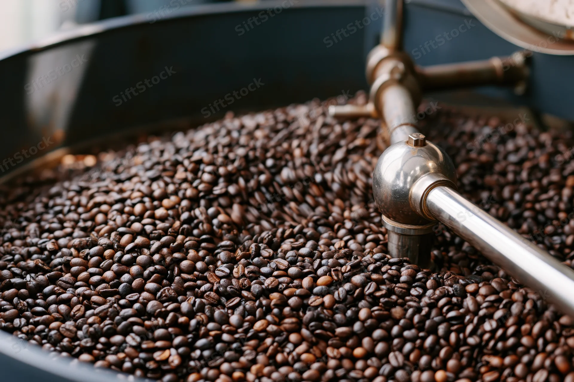 Roasted coffee beans in industrial cooling machine drum