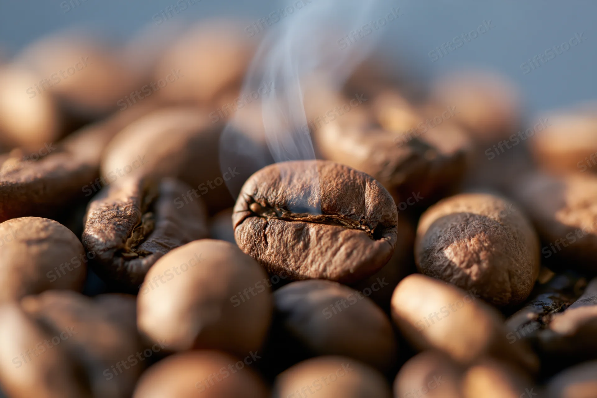 Freshly roasted coffee beans piled together with a thin wisp of steam rising from one bean in focus