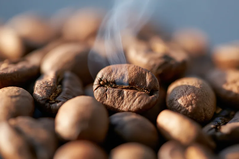 Freshly roasted coffee beans piled together with a thin wisp of steam rising from one bean in focus