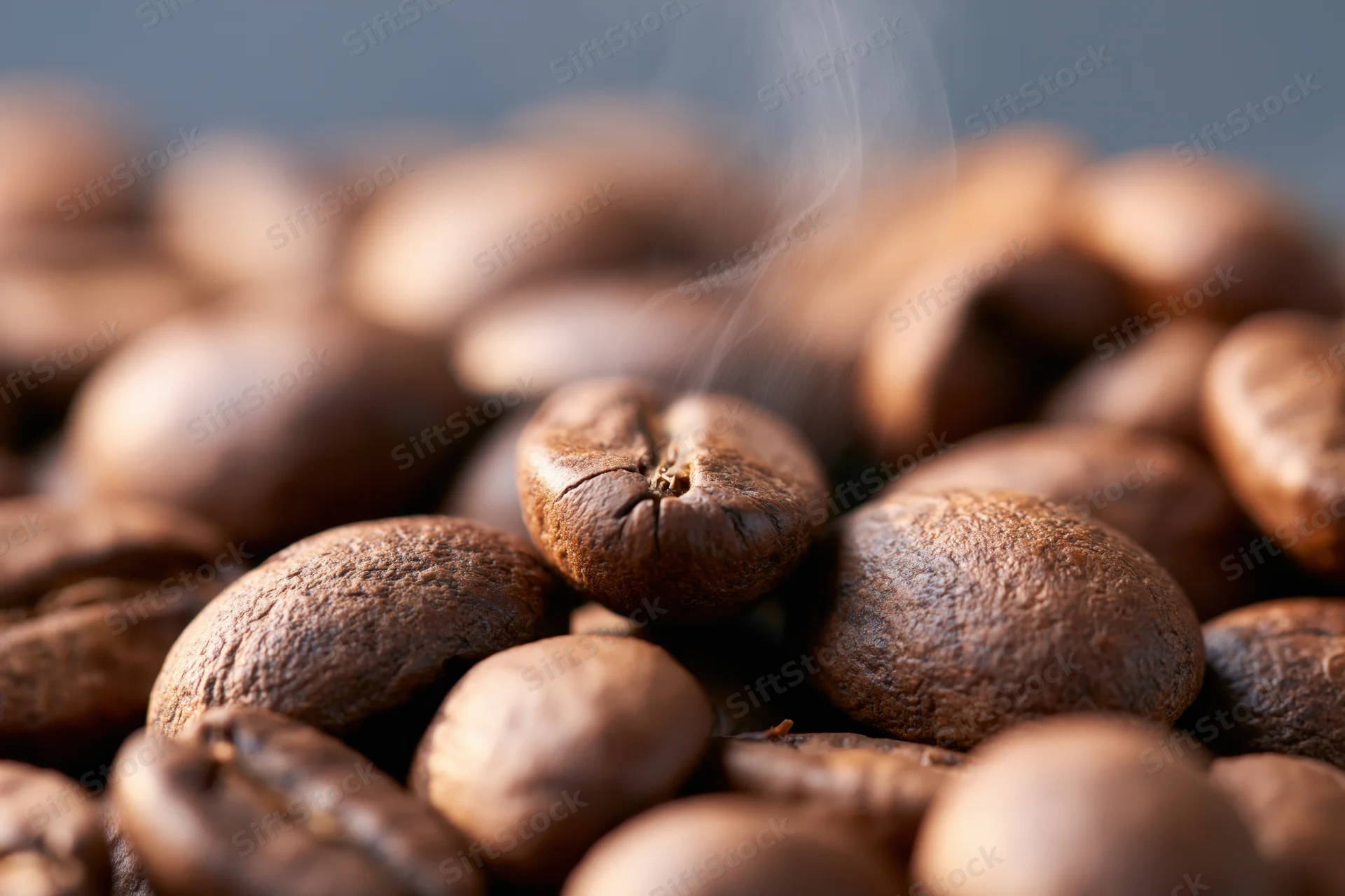 Freshly roasted coffee beans piled together with a thin wisp of steam rising from them