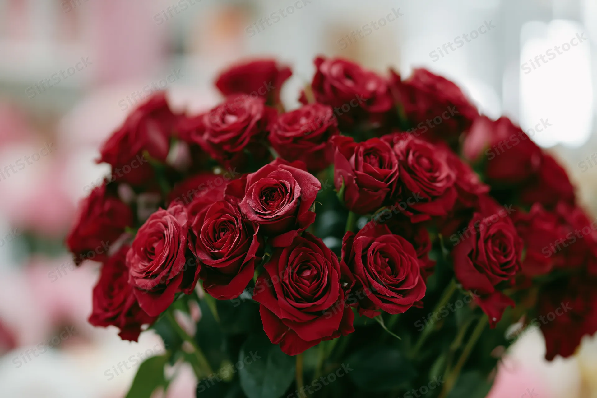Large bouquet of deep red roses tightly packed together with green stems and leaves, close-up view with blurred background