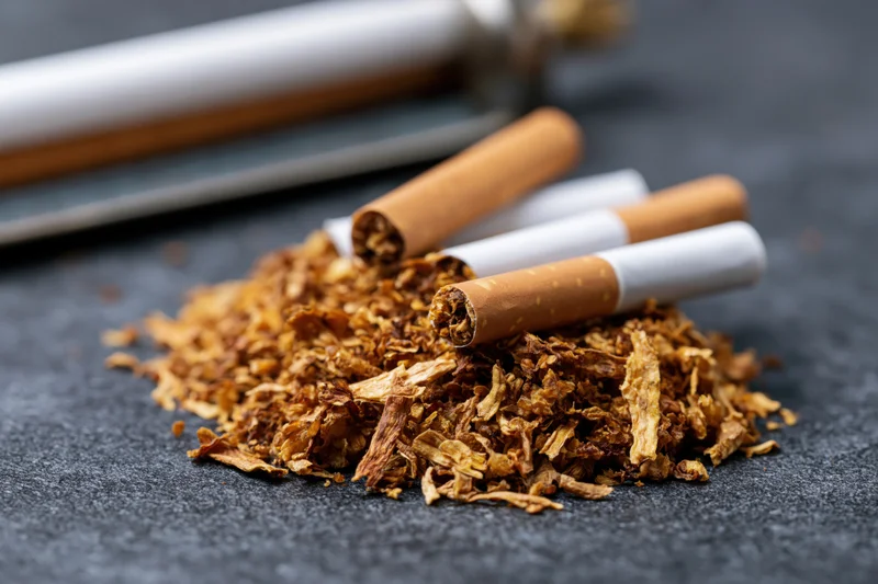 Loose tobacco piled on dark surface with unfiltered cigarettes arranged on top