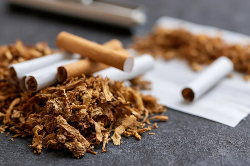 Loose tobacco pile with unfiltered cigarettes and rolling paper on dark surface