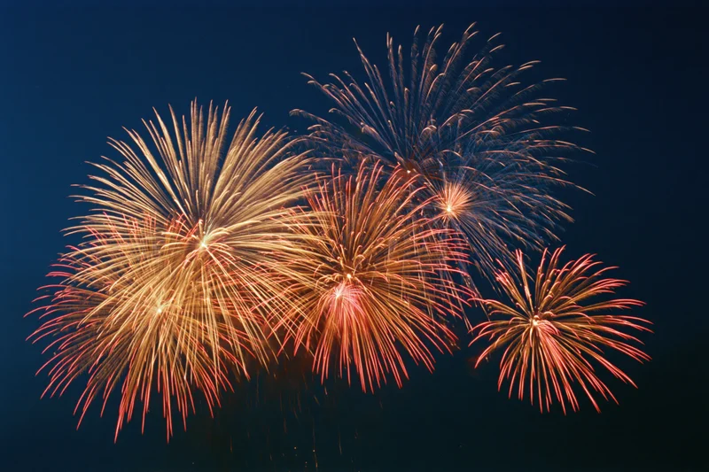 Multiple fireworks bursting simultaneously across the night sky