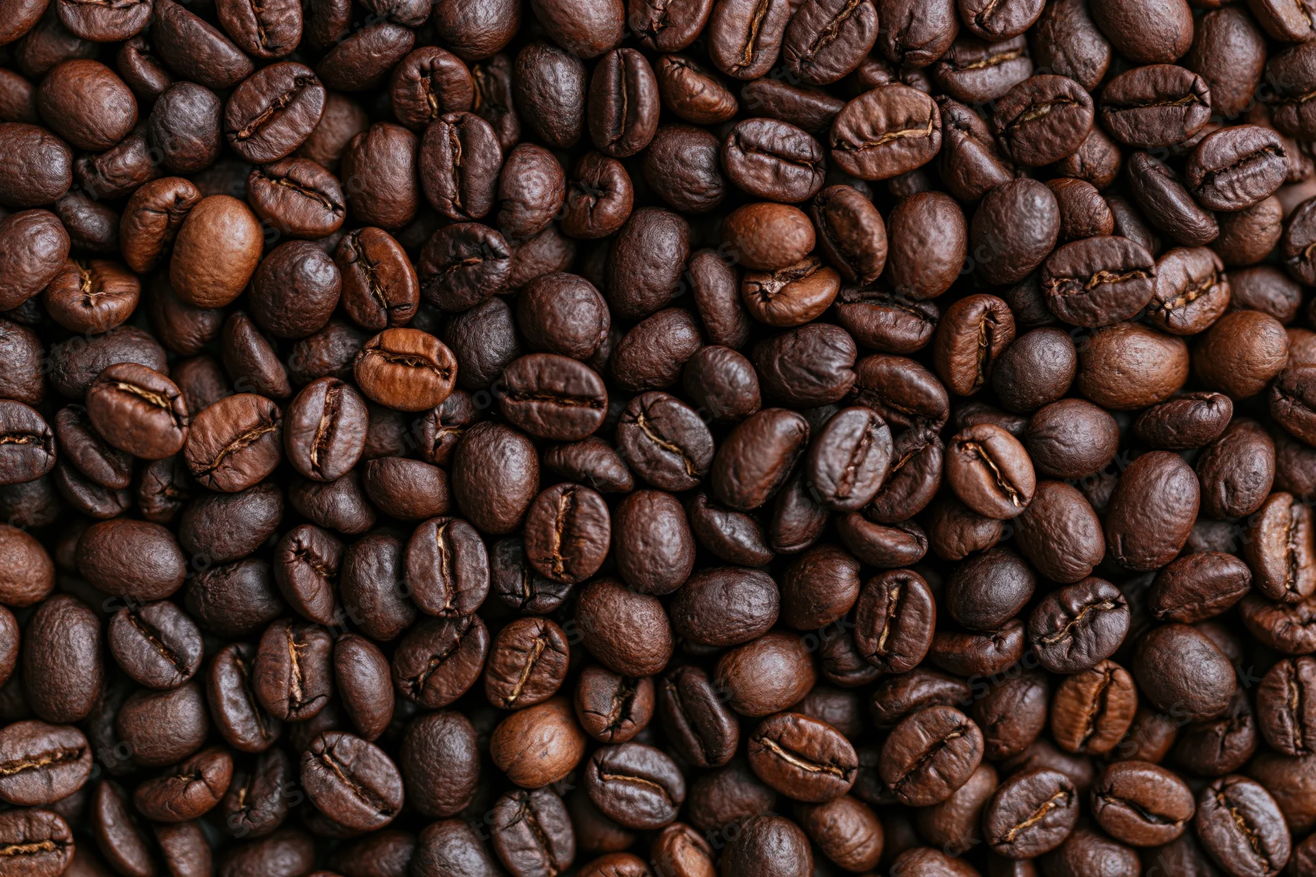 Roasted coffee beans arranged in a flat lay filling the entire frame
