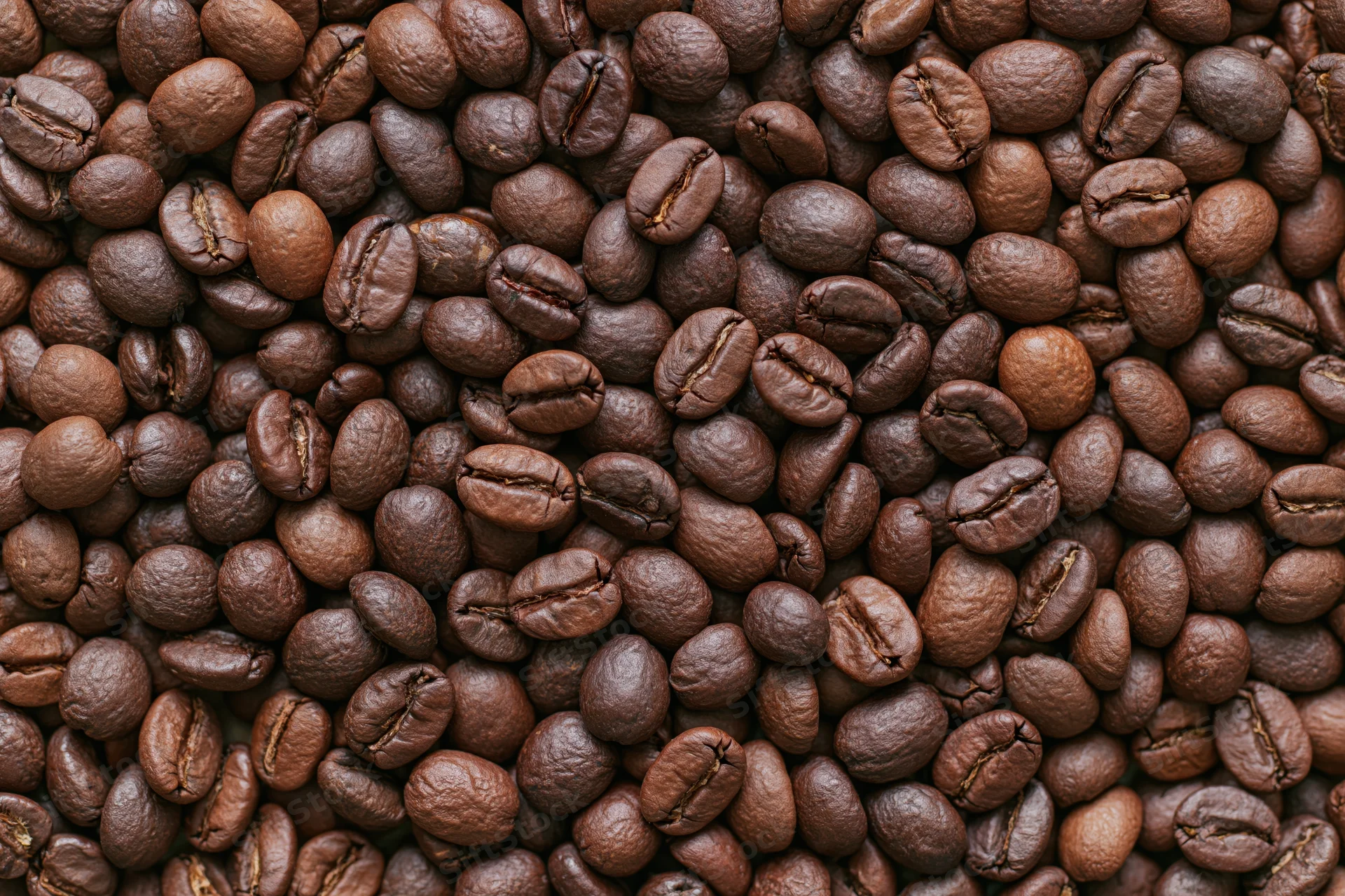 Roasted coffee beans arranged in a flat lay filling the frame