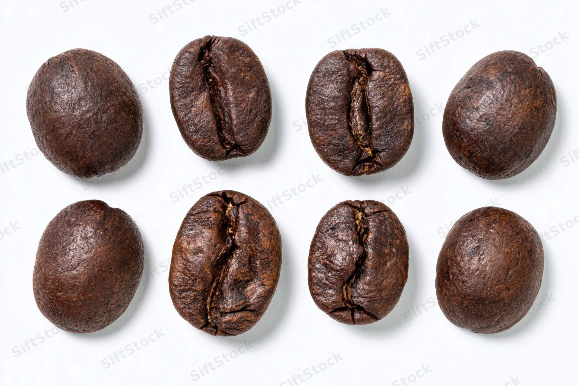 Roasted coffee beans arranged in two rows on white background