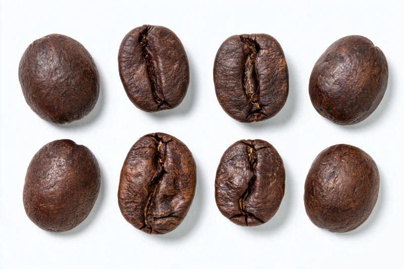 Roasted coffee beans arranged in two rows on white background