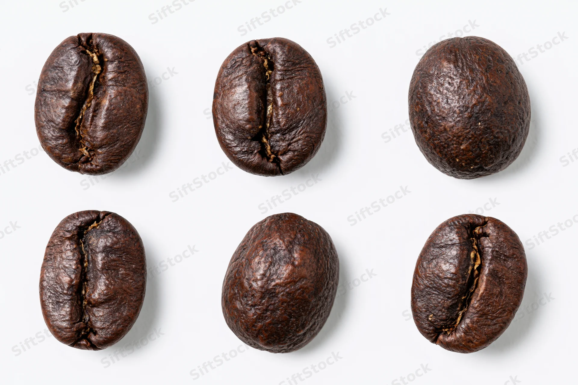 Six roasted coffee beans arranged in two rows on a white background