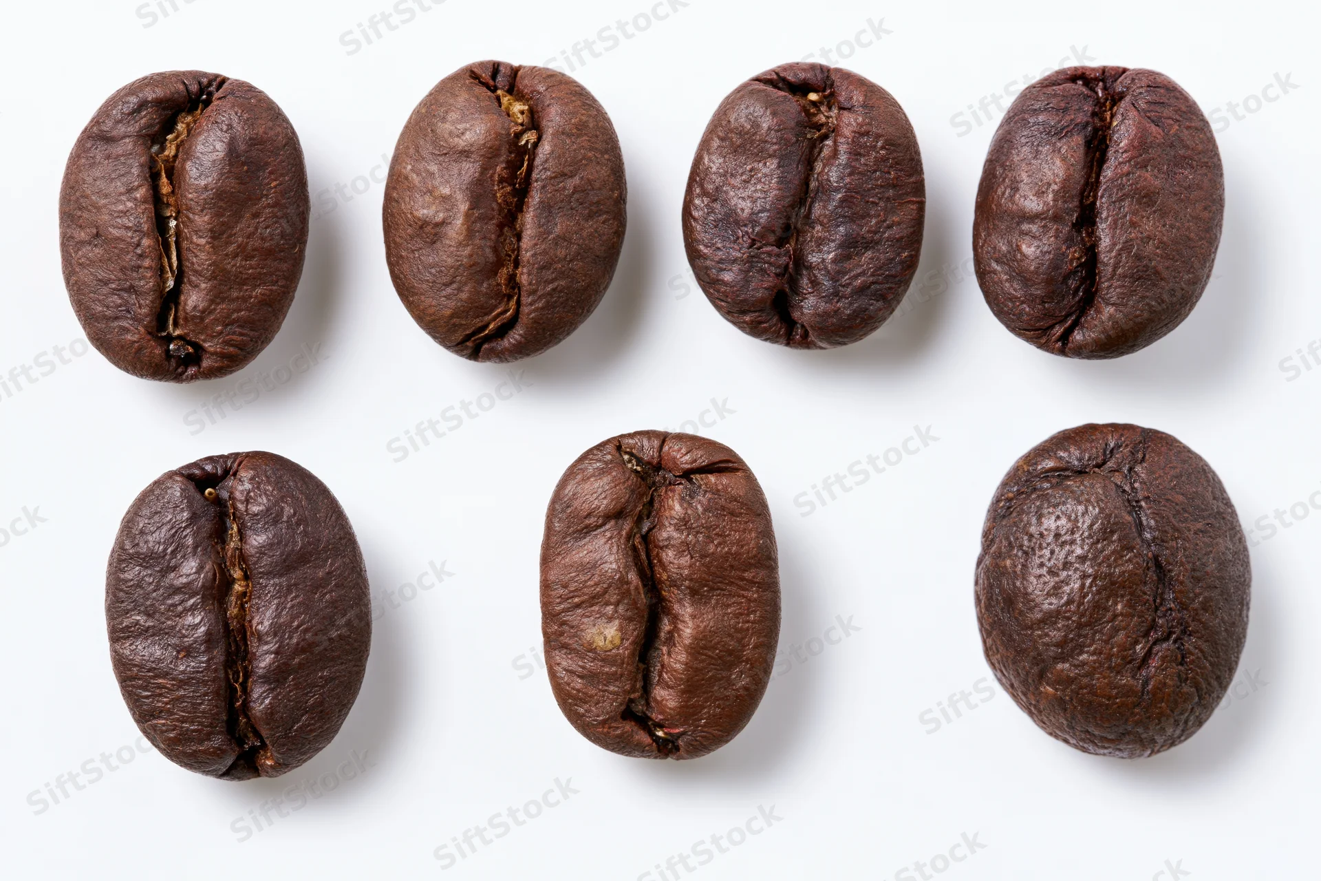 Six roasted coffee beans arranged in two rows on a white background