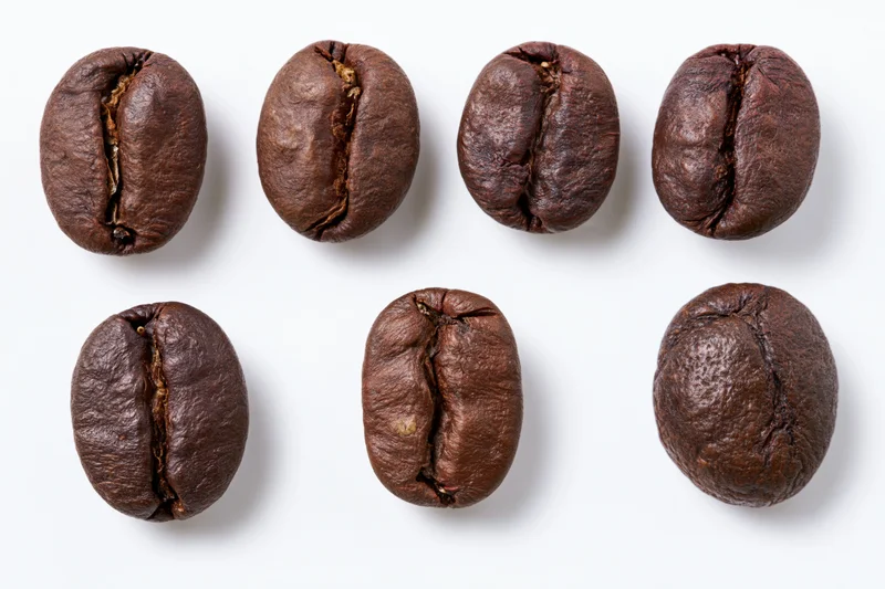 Six roasted coffee beans arranged in two rows on a white background
