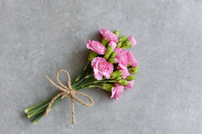 Small bouquet of pink spray carnations with green buds tied with twine on gray surface
