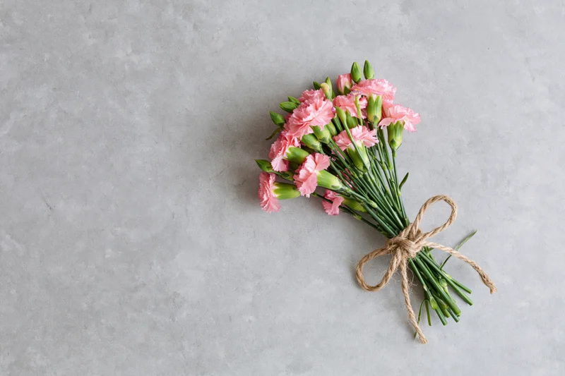 Small bouquet of pink spray carnations with green buds tied with twine on gray surface