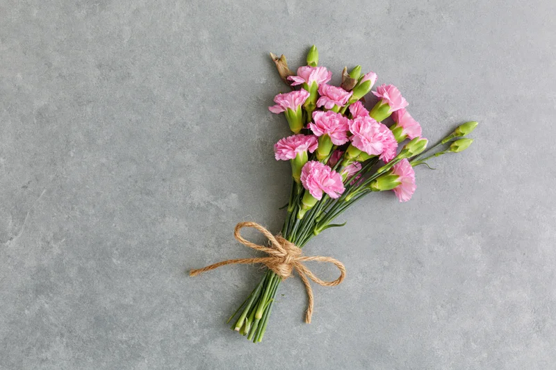 Small bouquet of pink spray carnations with green buds tied with twine on gray surface