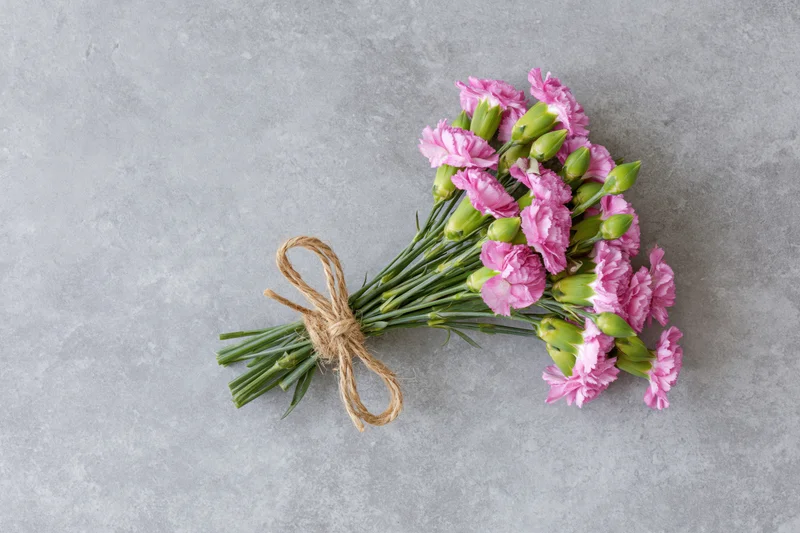 Small bouquet of pink spray carnations with green buds tied with twine on gray surface