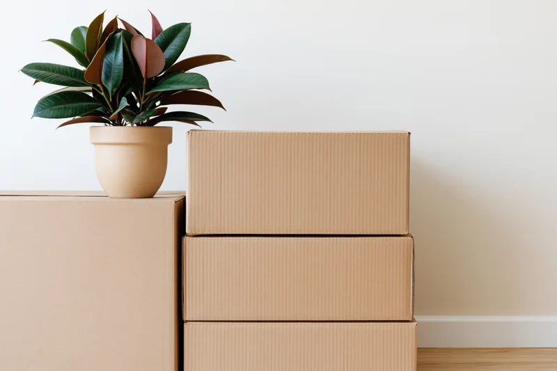 Stack of cardboard moving boxes with potted plant on top against white wall in empty room