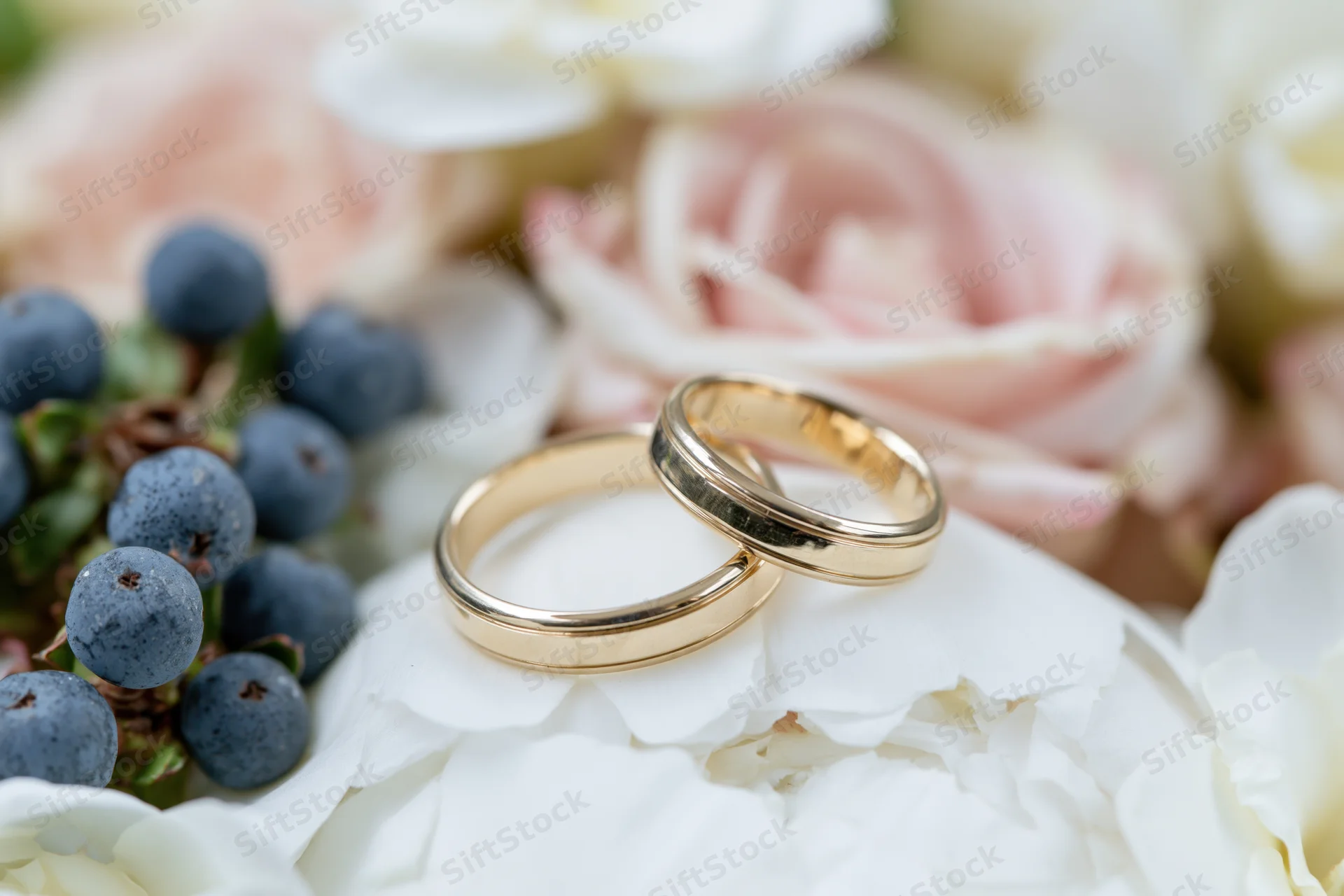 Two gold wedding bands resting side by side on a white peony flower among soft pink roses and blueberries