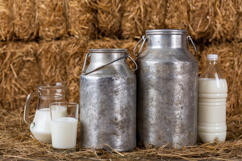 Weathered aluminum milk churns and glass milk containers arranged on loose straw in front of hay bales