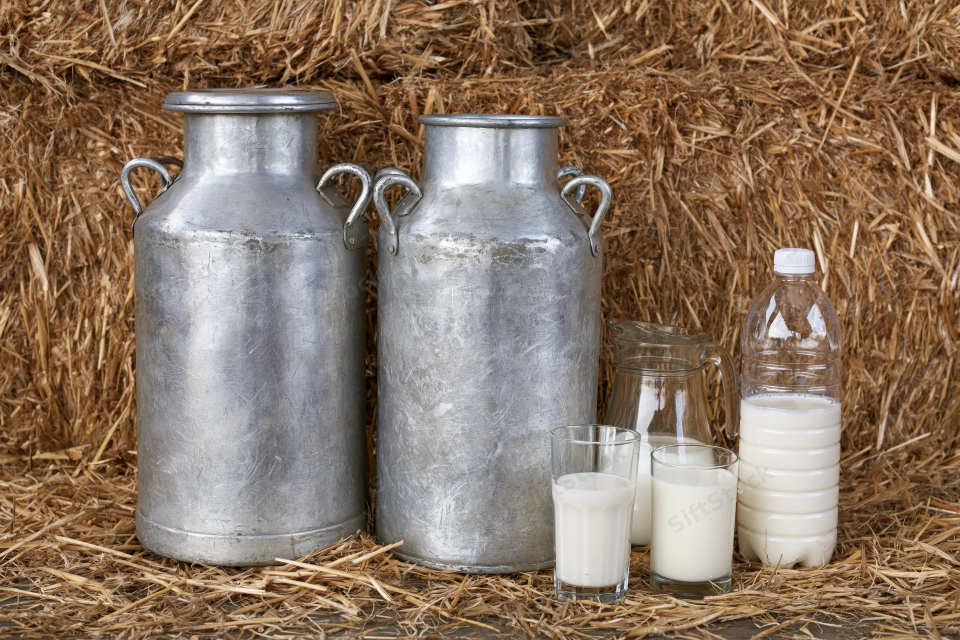 Two weathered aluminum milk churns standing on loose straw with glass and plastic milk containers nearby