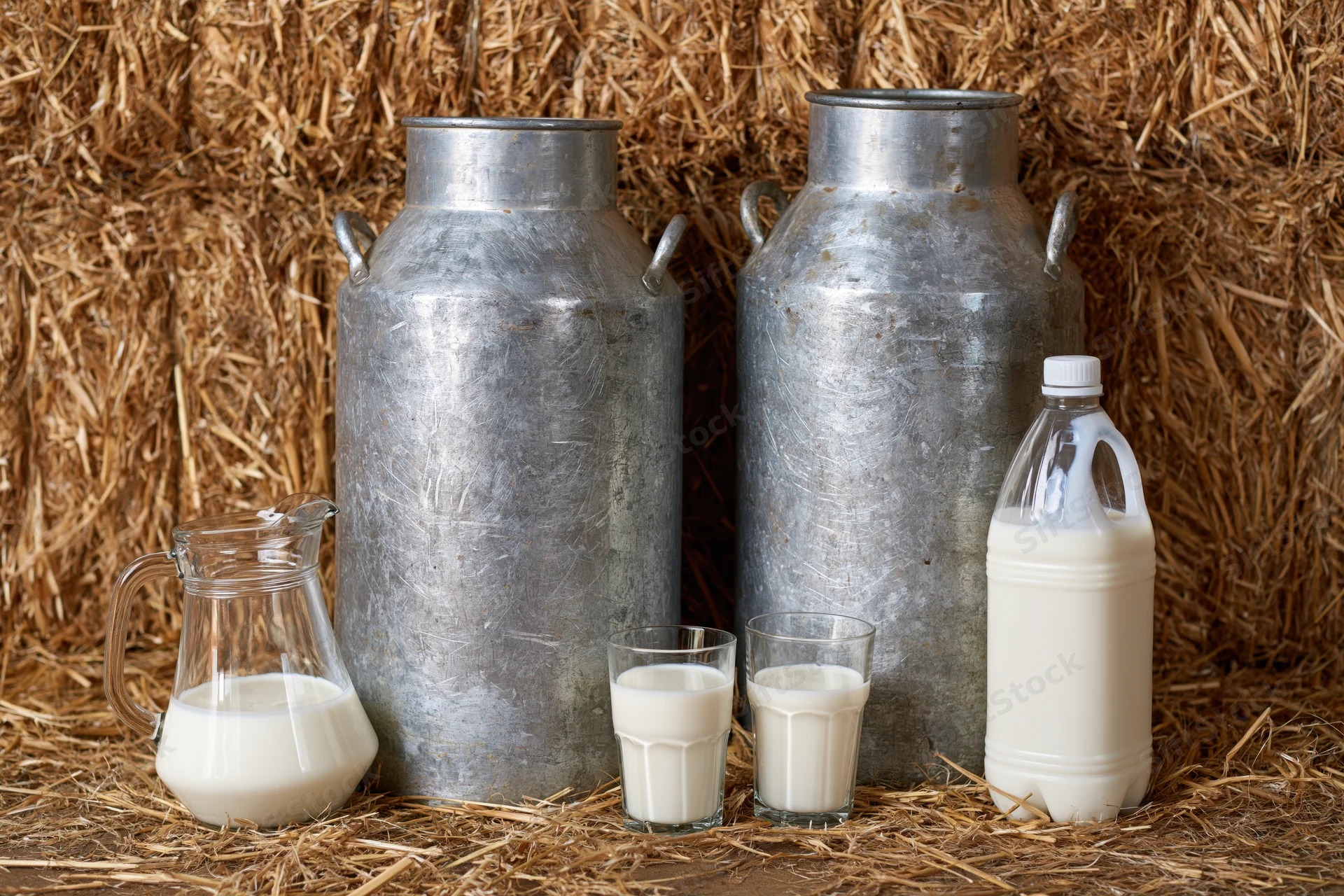Two weathered aluminum milk churns standing on loose straw with glass and plastic milk containers nearby