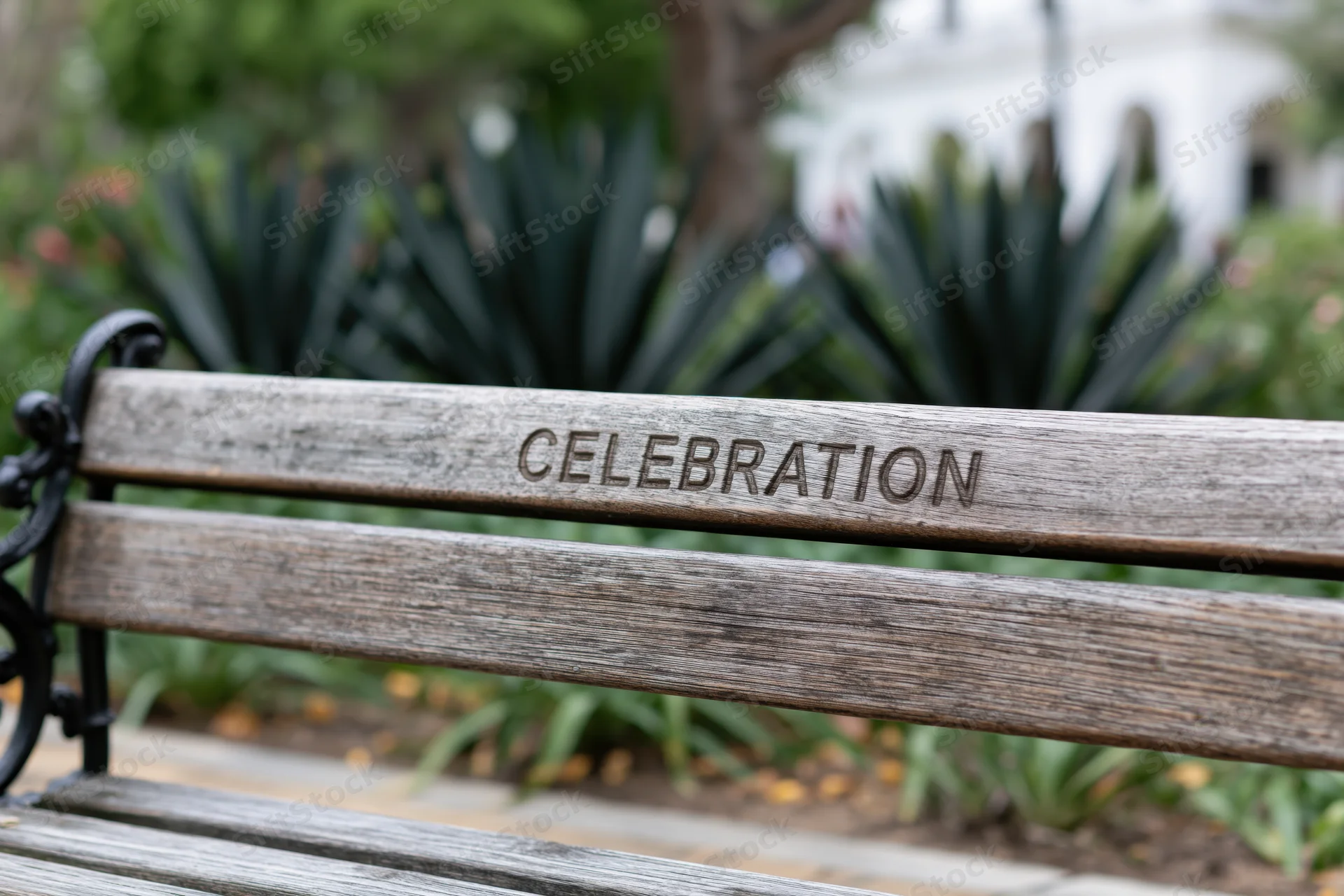 Weathered wooden park bench with engraved word celebration in a garden setting