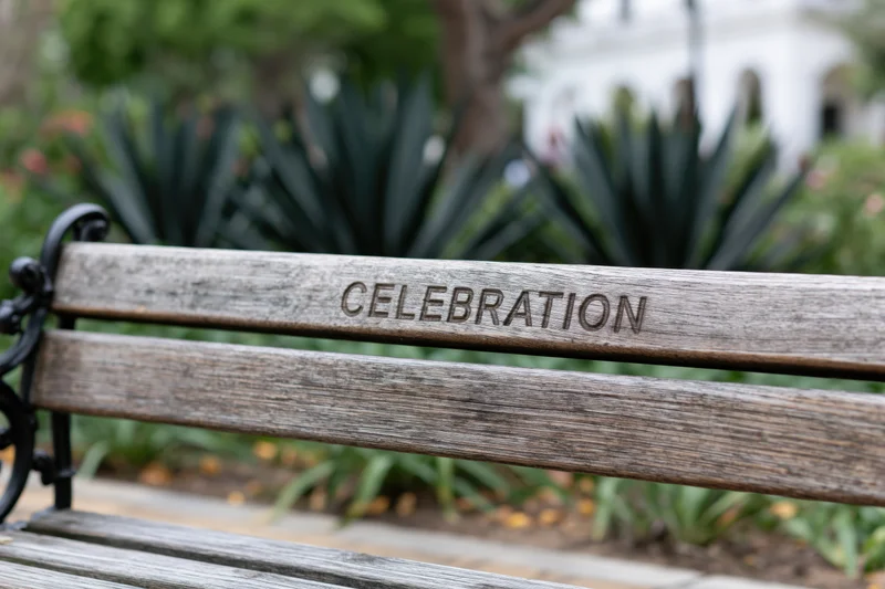 Weathered wooden park bench with engraved word celebration in a garden setting