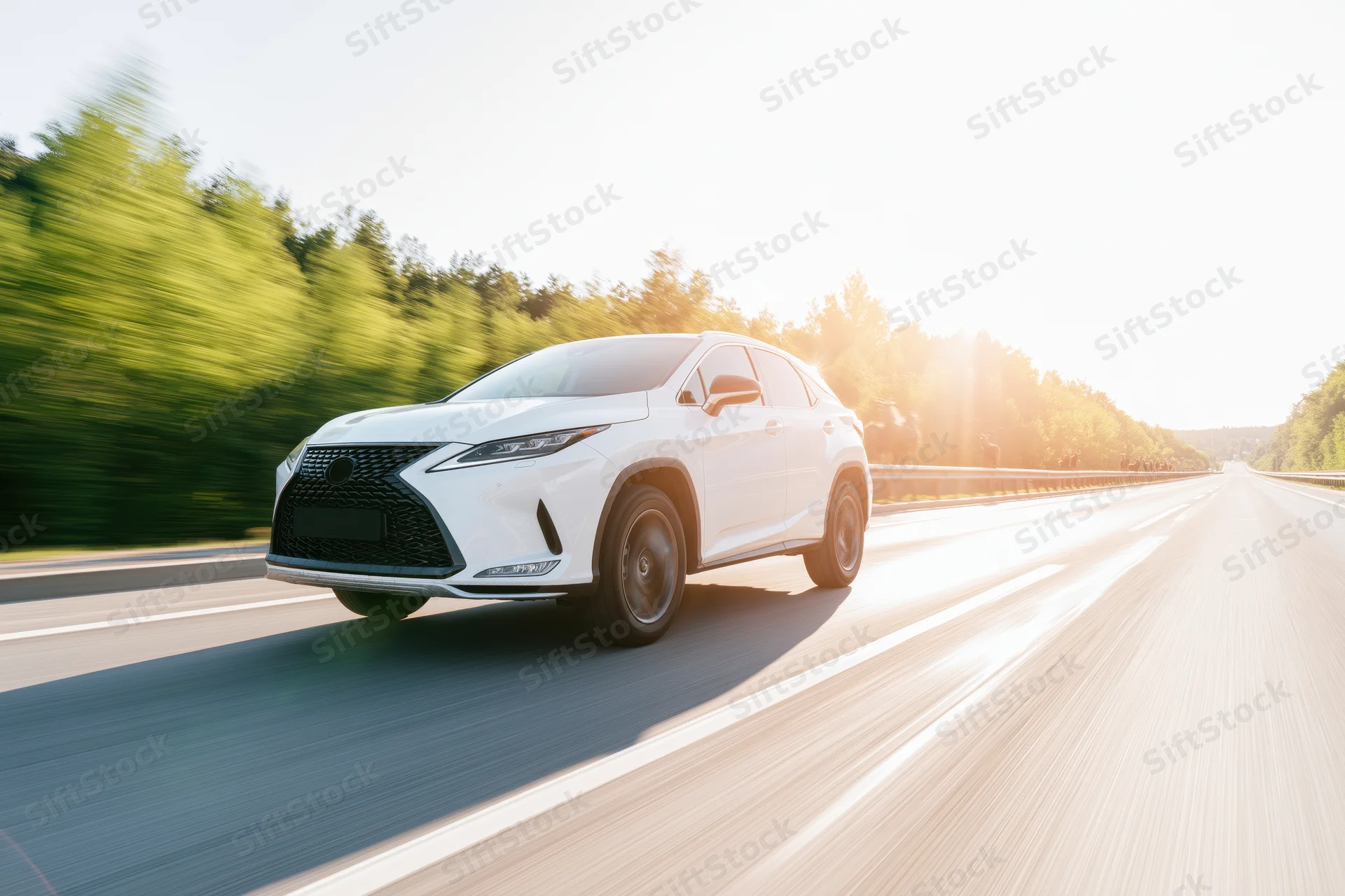 White midsize suv driving at speed on a two-lane highway surrounded by trees during golden hour