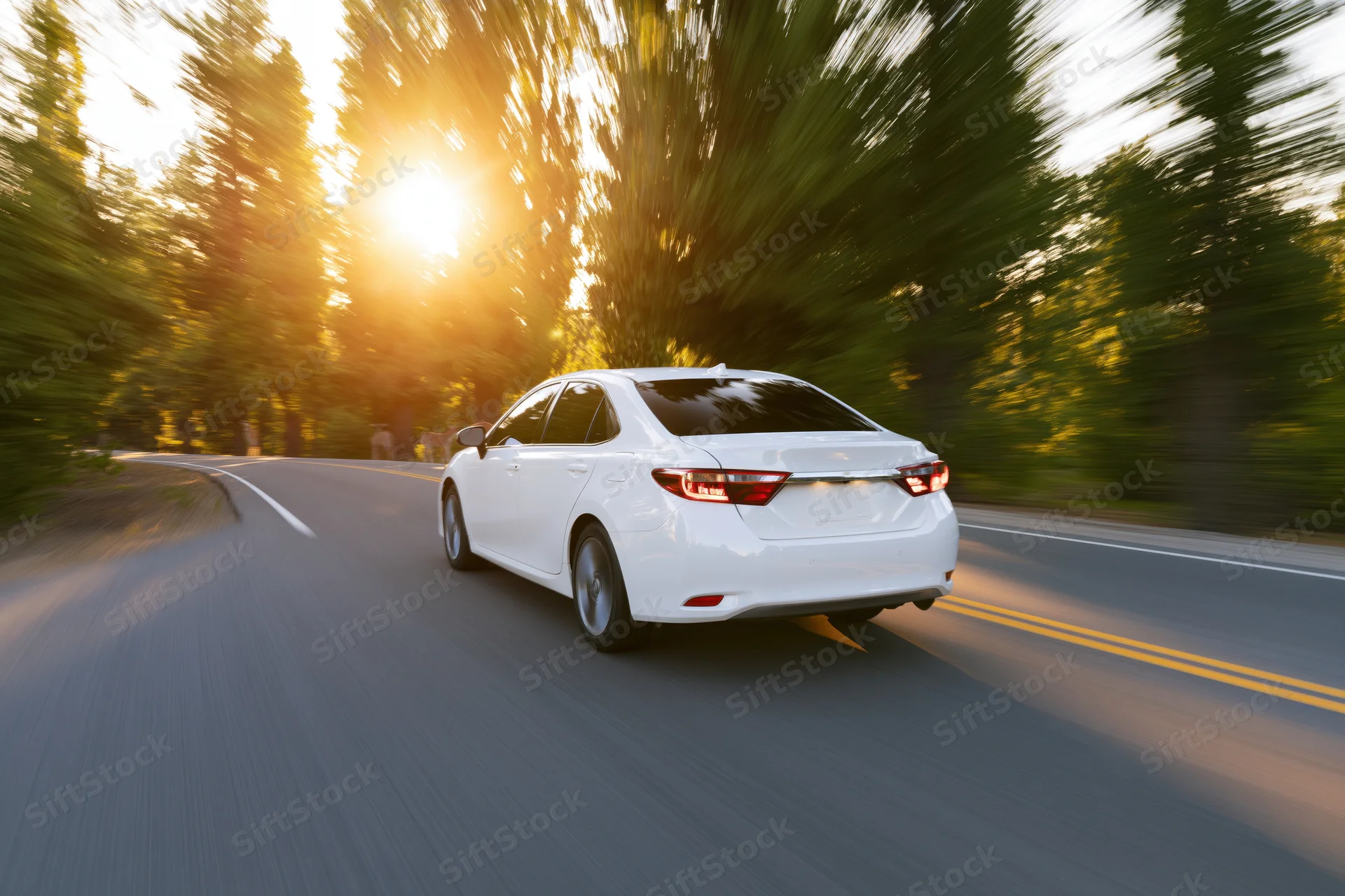 White sedan driving away on a two-lane country road lined with trees at golden hour
