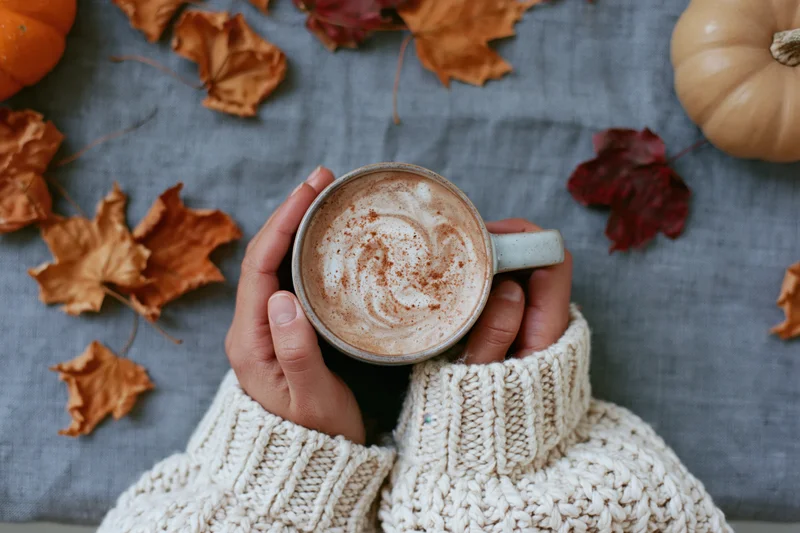 Woman’s hands in a cream knit sweater cradling a ceramic mug of latte with cinnamon foam on a gray fabric background with autumn leaves and pumpkins