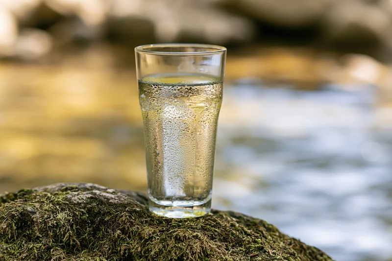 Clear glass of fresh water on mossy rock beside flowing stream