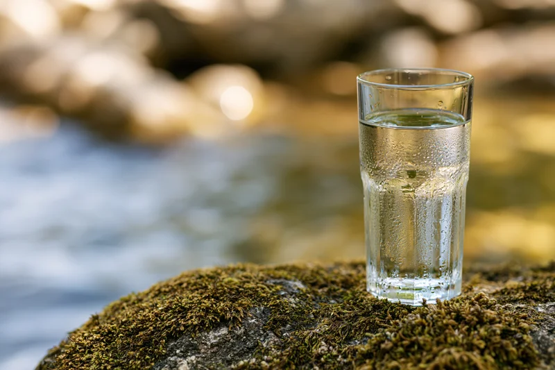 Clear glass of fresh water resting on moss-covered rock beside flowing stream