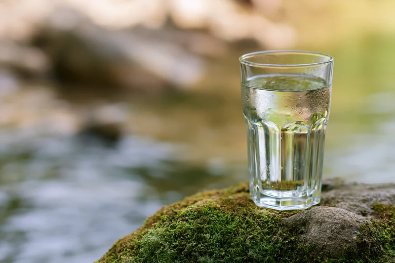 Clear glass of fresh water resting on moss-covered rock beside flowing stream