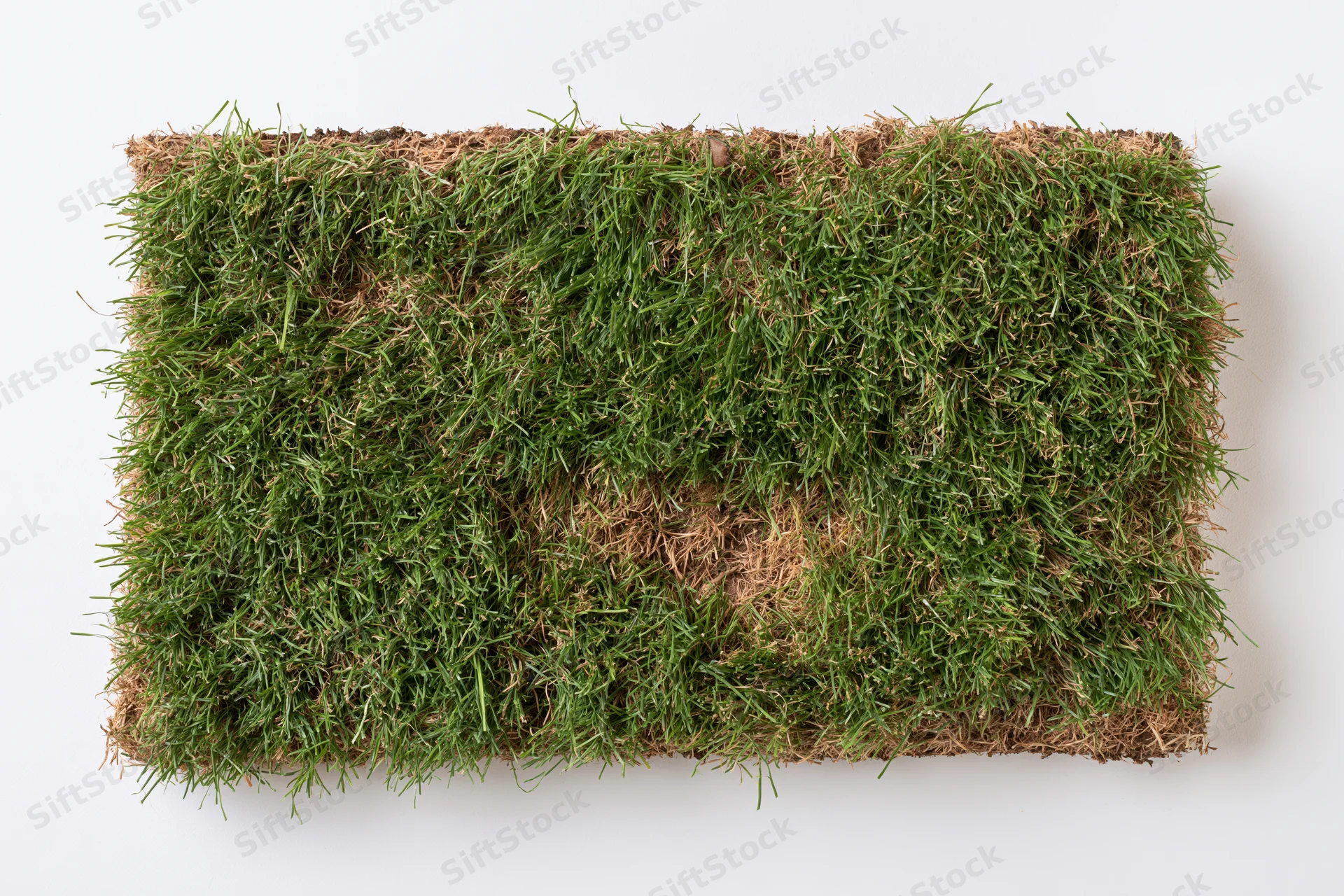 Rectangular patch of cut natural grass turf isolated on white background
