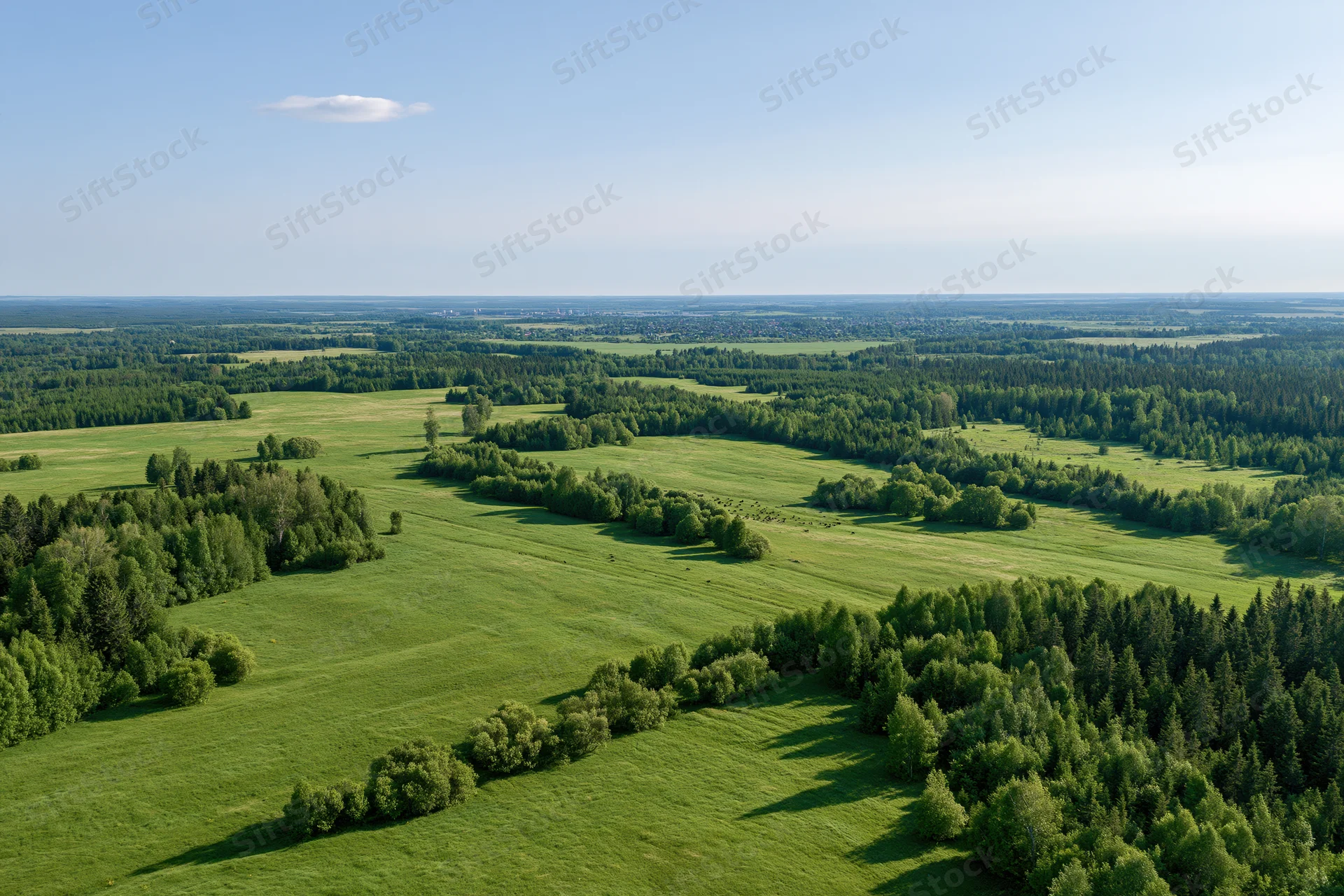 Aerial view of green meadows and mixed forest under clear sky
